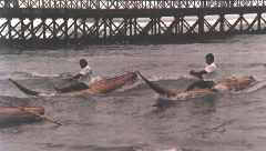 A Huanchaco (Trujillo) les Caballitos (chevaux)de totora servent aux pêcheurs de l'océan Pacifique